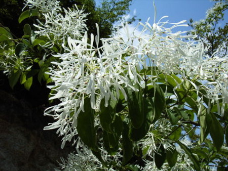 f:id:gzutetsu:20090416235736j:image