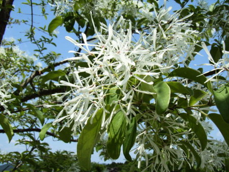 f:id:gzutetsu:20090416235737j:image