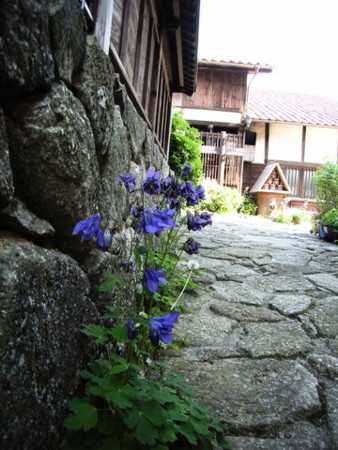 f:id:gzutetsu:20090416235744j:image