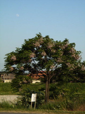 f:id:gzutetsu:20090416235757j:image