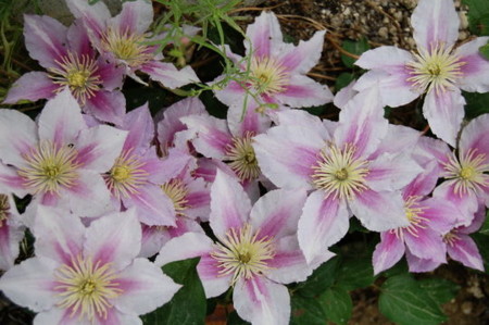 f:id:gzutetsu:20090416235811j:image