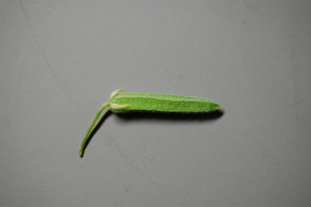 f:id:gzutetsu:20090417000056j:image