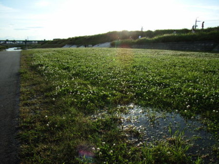 f:id:gzutetsu:20090417000058j:image