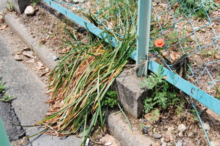 f:id:gzutetsu:20090418145004j:image