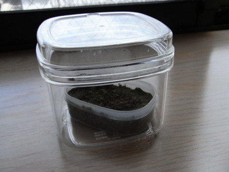 f:id:gzutetsu:20090426101354j:image