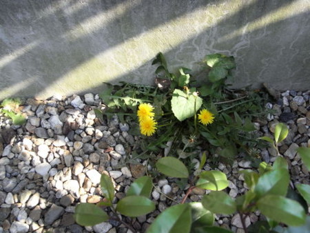 f:id:gzutetsu:20090429221454j:image