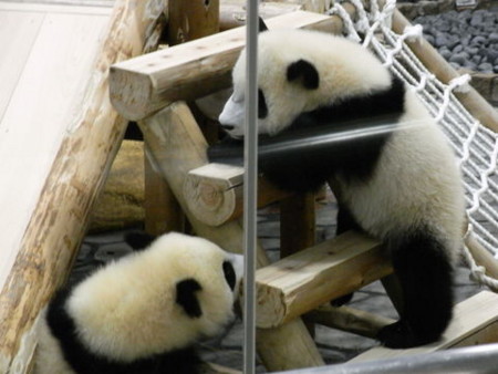 f:id:gzutetsu:20090517133742j:image f:id:gzutetsu:20090517133742j:image