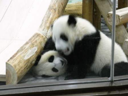 f:id:gzutetsu:20090517133743j:image f:id:gzutetsu:20090517133743j:image