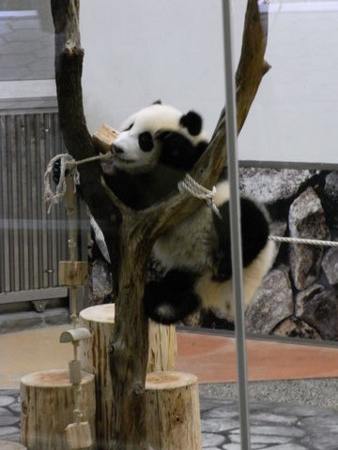 f:id:gzutetsu:20090517133744j:image f:id:gzutetsu:20090517133744j:image