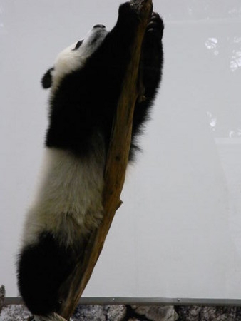 f:id:gzutetsu:20090517133746j:image f:id:gzutetsu:20090517133746j:image