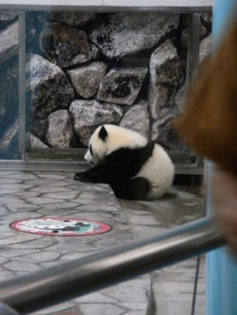 f:id:gzutetsu:20090517133747j:image f:id:gzutetsu:20090517133747j:image