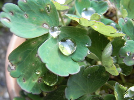 f:id:gzutetsu:20090523230901j:image f:id:gzutetsu:20090523230901j:image