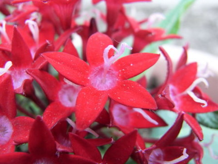 f:id:gzutetsu:20090523230914j:image f:id:gzutetsu:20090523230914j:image