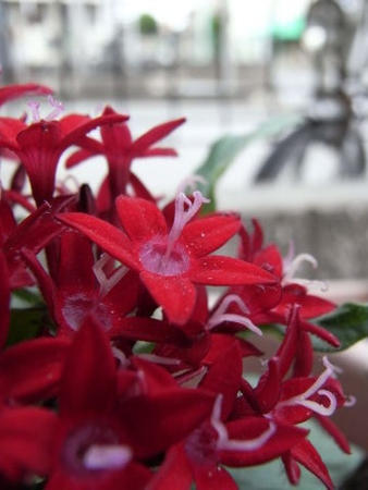 f:id:gzutetsu:20090523230915j:image f:id:gzutetsu:20090523230915j:image