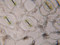 20090531154806
