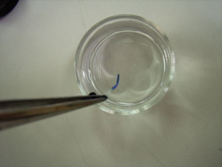 f:id:gzutetsu:20090614184256j:image