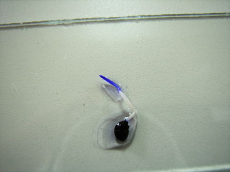 f:id:gzutetsu:20090614184258j:image