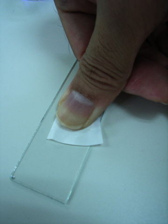f:id:gzutetsu:20090614184300j:image