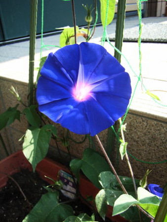 f:id:gzutetsu:20090614184309j:image