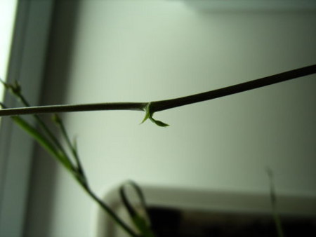 f:id:gzutetsu:20090614212115j:image f:id:gzutetsu:20090614212115j:image