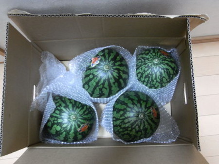 f:id:gzutetsu:20090621224835j:image