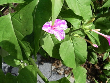 f:id:gzutetsu:20090701221351j:image