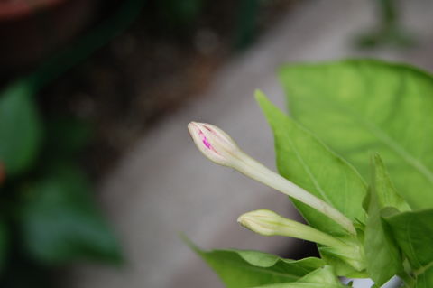f:id:gzutetsu:20090718130131j:image