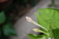 20090718130131