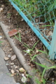 20090718130319