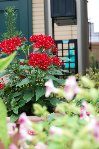 f:id:gzutetsu:20090718130355j:image