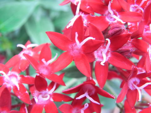 f:id:gzutetsu:20090719074205j:image
