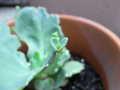 20090719074540