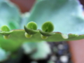 20090719074558