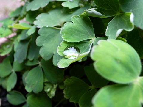 f:id:gzutetsu:20090810073137j:image