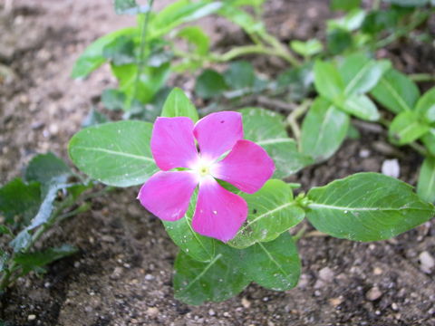 f:id:gzutetsu:20090810093732j:image