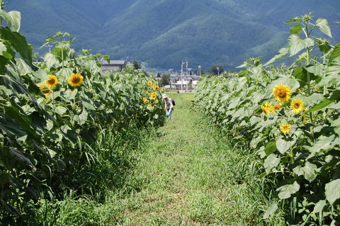 f:id:gzutetsu:20090811112742j:image