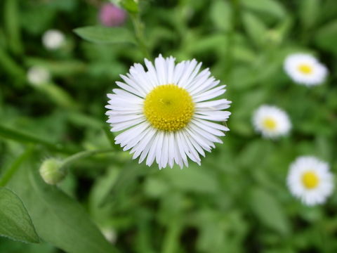 f:id:gzutetsu:20090811123624j:image