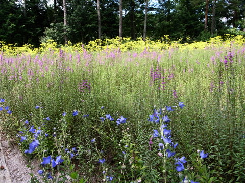 f:id:gzutetsu:20090811131403j:image
