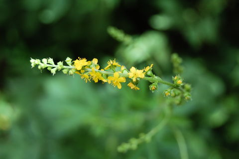 f:id:gzutetsu:20090811135005j:image