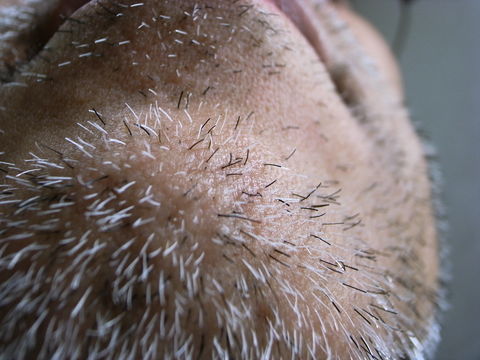 f:id:gzutetsu:20090814212739j:image