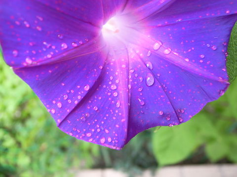f:id:gzutetsu:20090822103141j:image