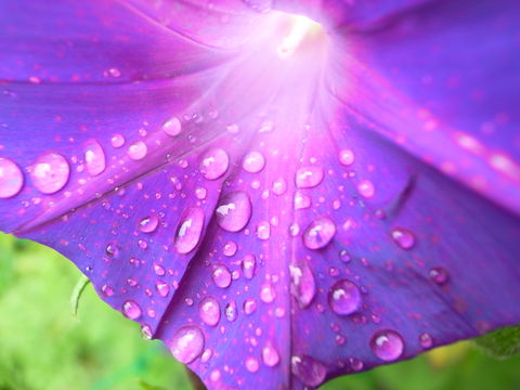 f:id:gzutetsu:20090822103245j:image