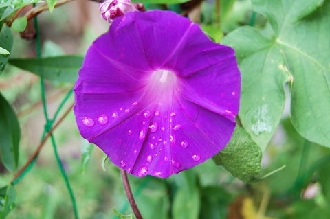 f:id:gzutetsu:20090822124831j:image