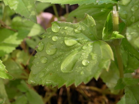 f:id:gzutetsu:20090913080957j:image