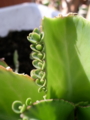 20090919132915