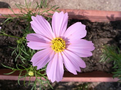 f:id:gzutetsu:20090919132946j:image f:id:gzutetsu:20090919132946j:image