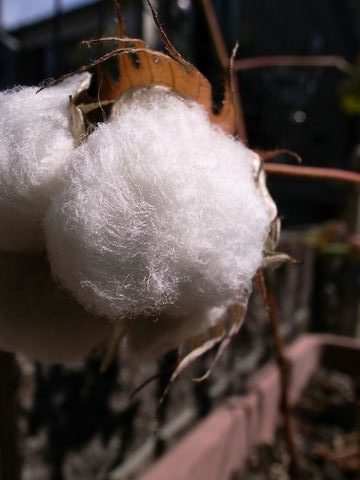 f:id:gzutetsu:20090919133046j:image f:id:gzutetsu:20090919133046j:image