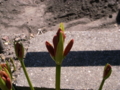 20090920123937