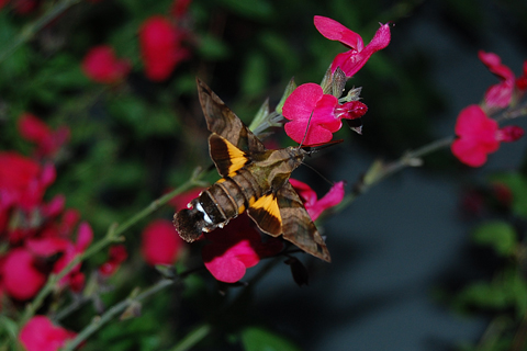 f:id:gzutetsu:20090922144845j:image f:id:gzutetsu:20090922144845j:image