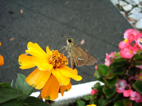 f:id:gzutetsu:20090922144918j:image